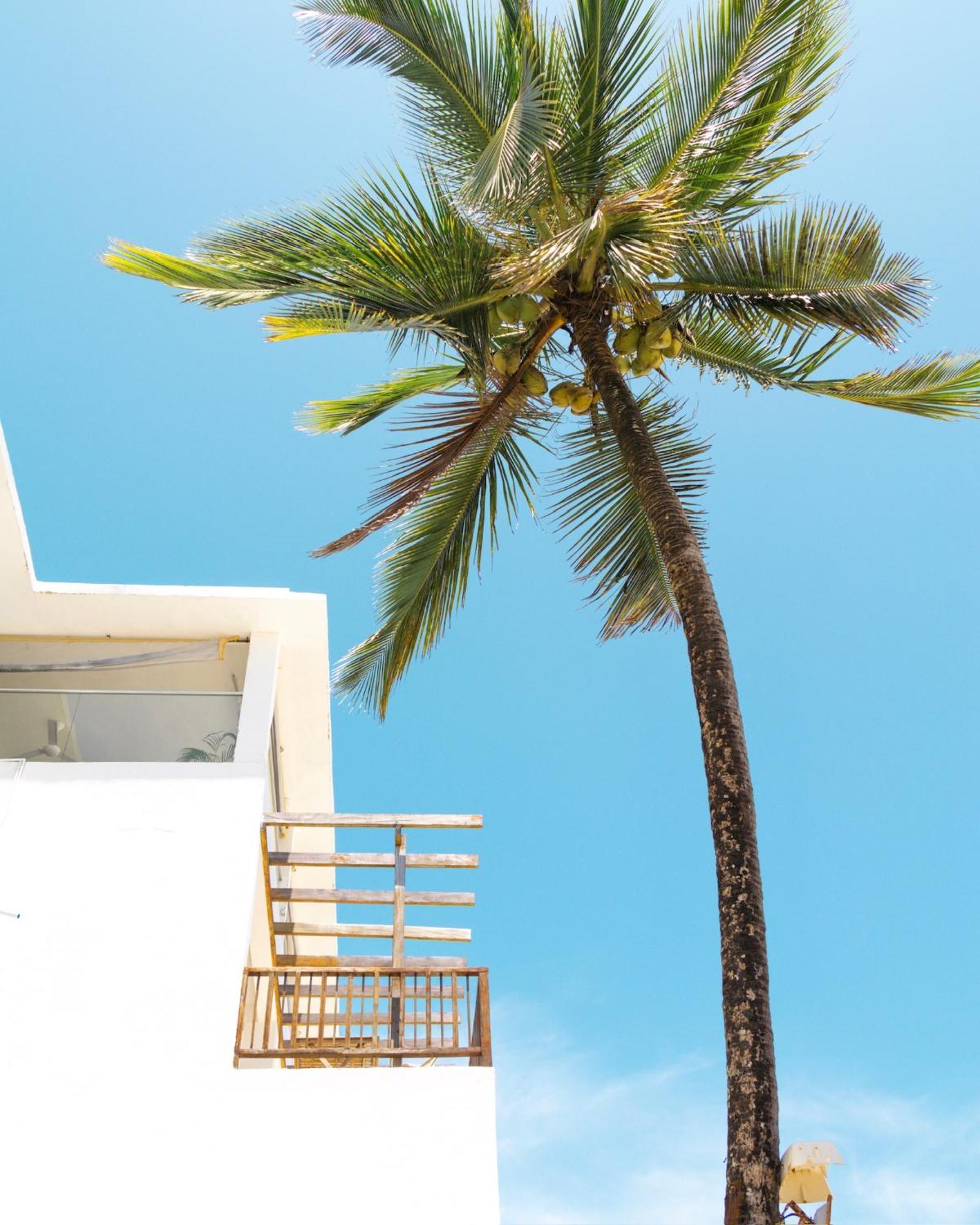 Hotel Pili Pili Sunrise Beach Jambiani  Exterior foto